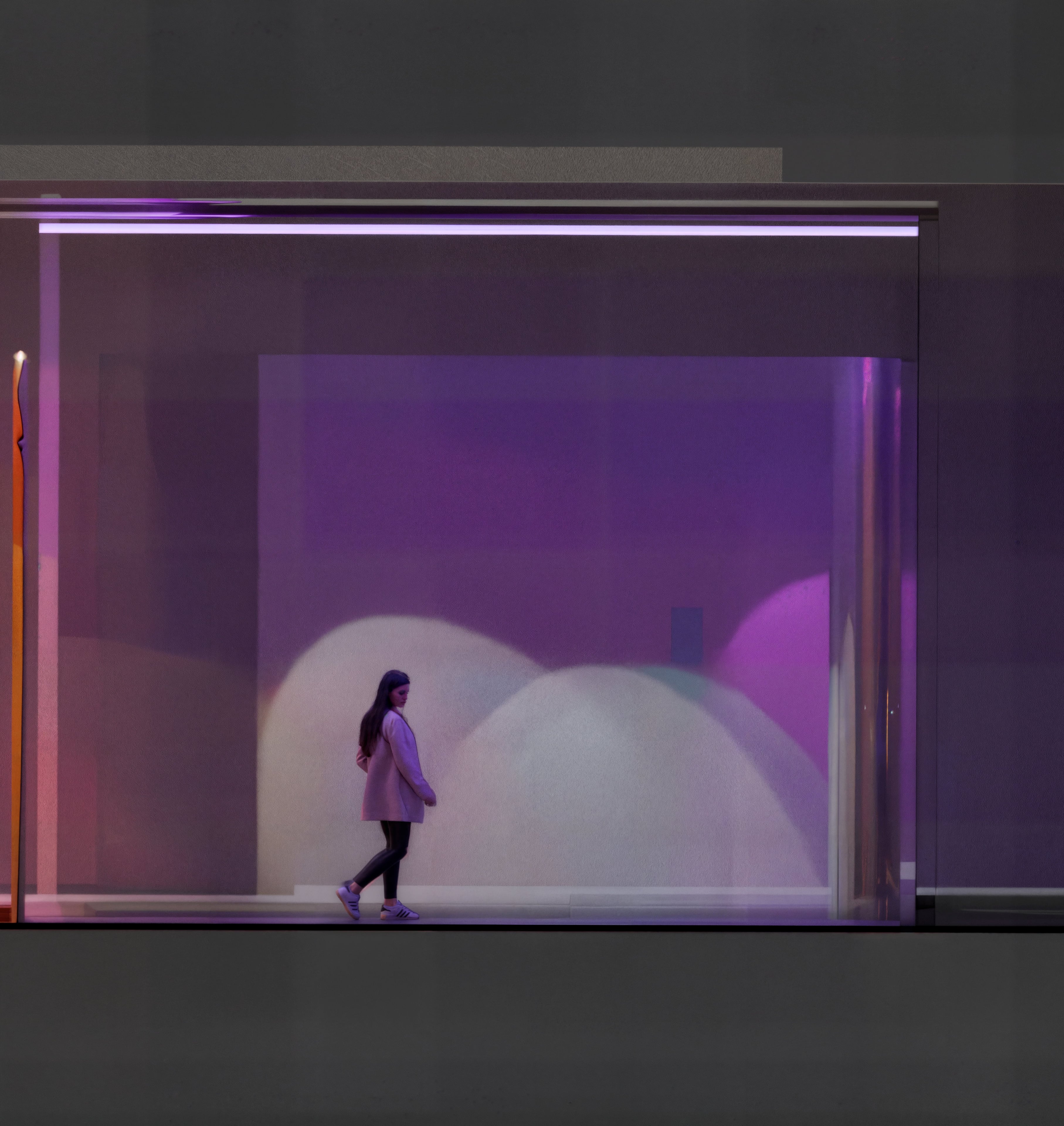 Zona 4, lavender dome display room